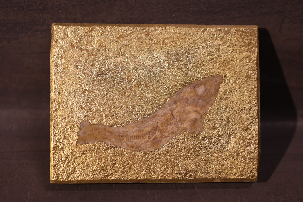 Fossil, vergoldet