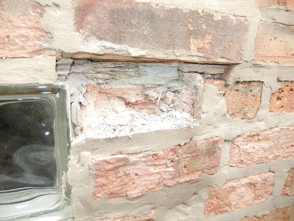 Exterior Inspection