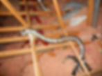Ventilation Inspection