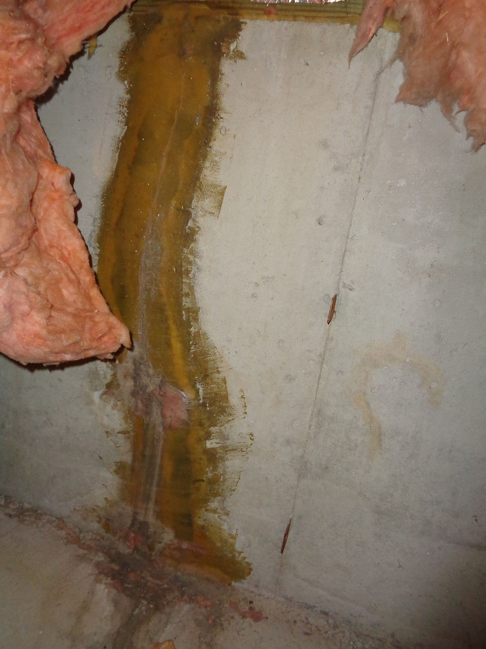 Foundation/Structure Inspection