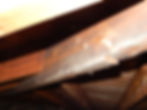 Attic Inspection
