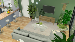 PLANT FILLED APARTMENT