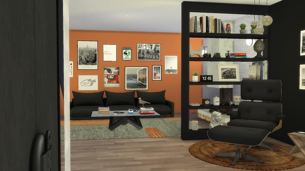 PHOTOGRAPHER MODERN APARTMENT