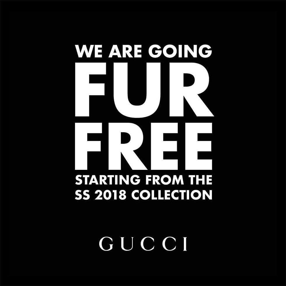 Gucci’s official 2017 announcement declaring the brand fur-free, signaling a legal and ethical shift in luxury fashion.
