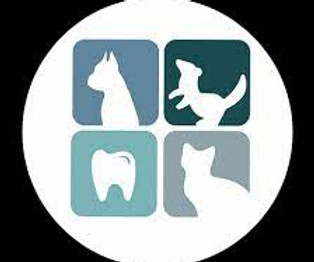 mypetsmile.jfif