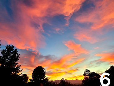 20201013_190049_edited_edited_edited.jpg