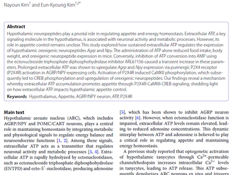 New Publication: Mol Brain 2025