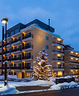Chalet Ivy Hirafu