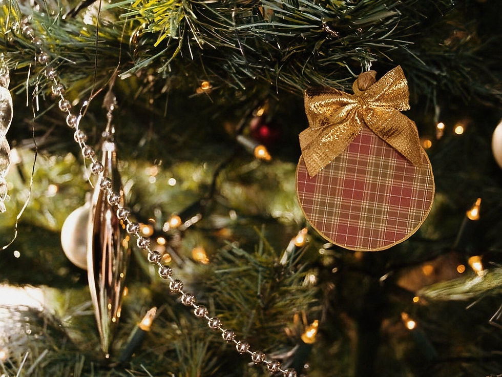 Christmas Decorations - Peter Rabbit Traditional (3pk)