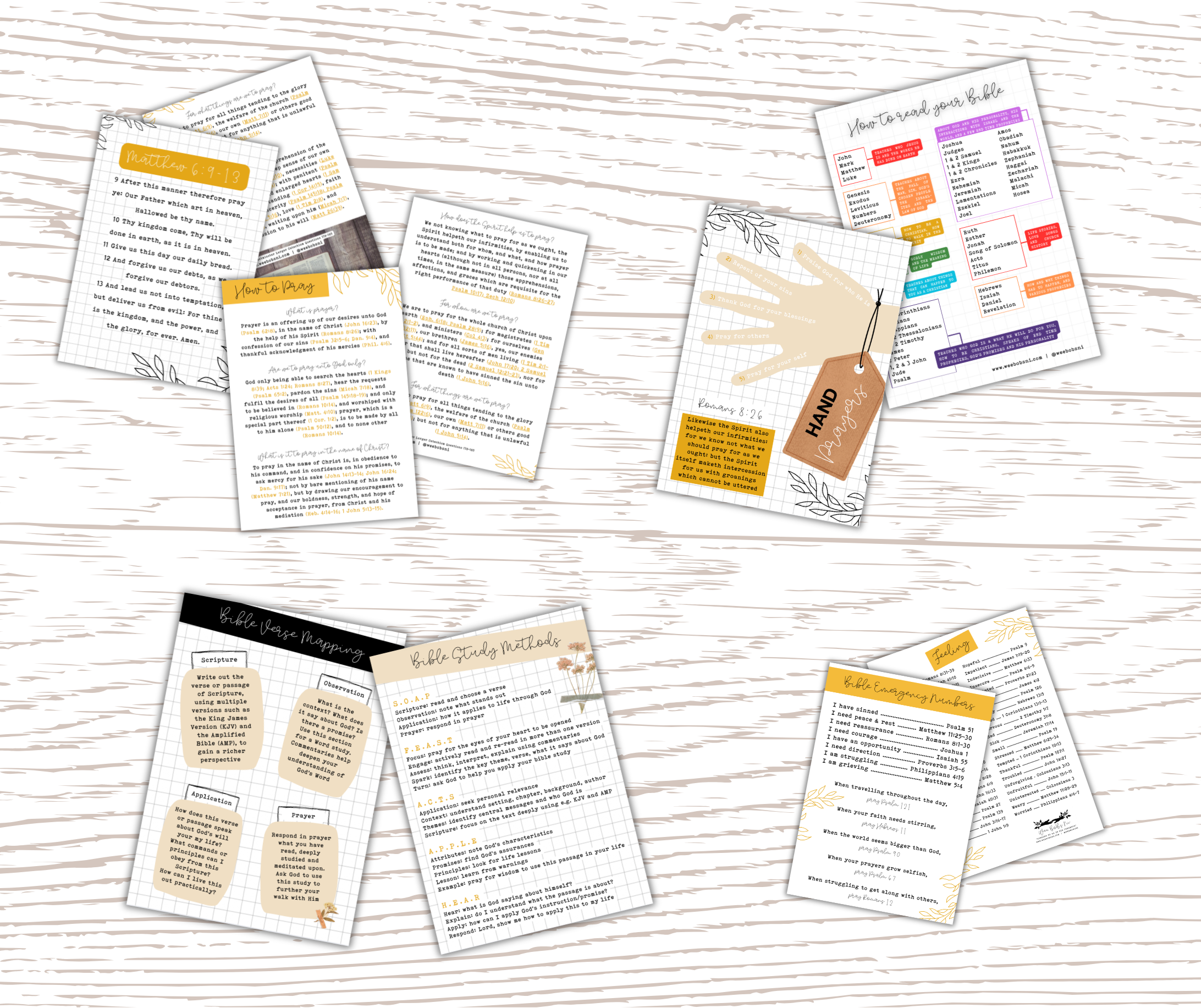 Bible Study Postcard Companions Set