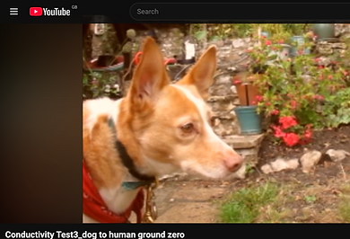 Screenshot 2026-08-31 at 12.12.35.png