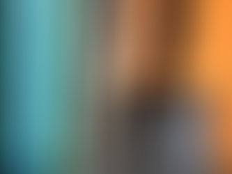 THE GUNSITE ALLOTMENT, AS SEEN THROUGH THE EYES OF MRS BUN