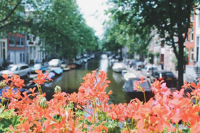 Top Things To Do Amsterdam | Netherlands Female Travel | Earth Below Girls