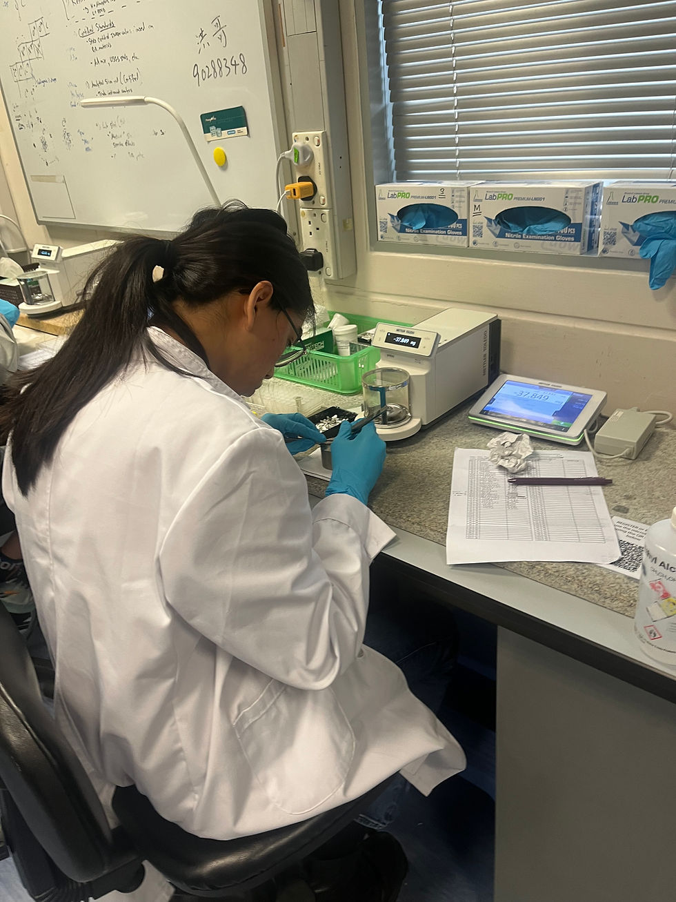 Stable isotope labwork