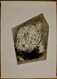 GT-RL 4-89 w16
Robert Lobe 1989_monoprint somerset 54"x42"
