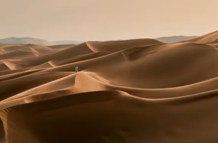 desert.jpg
