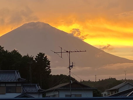 家族で山梨のひまわり畑へ行って来ました