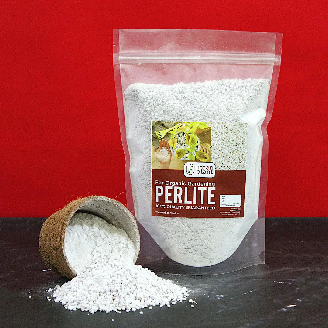 Perlite - 250gm
