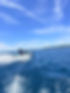 IMG_4229.jpeg