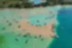 Torch-Lake 2.webp