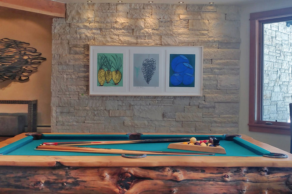 Interior Design Art Installations in Colorado by Art Working