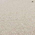 3 BEACH SANCTUARY.jpeg