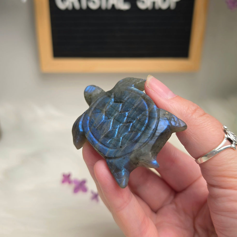 Thumbnail: Labradorite Turtle