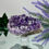 Thumbnail: Amethyst Cluster
