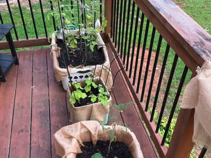 Midweek Musing 6/17/2026
