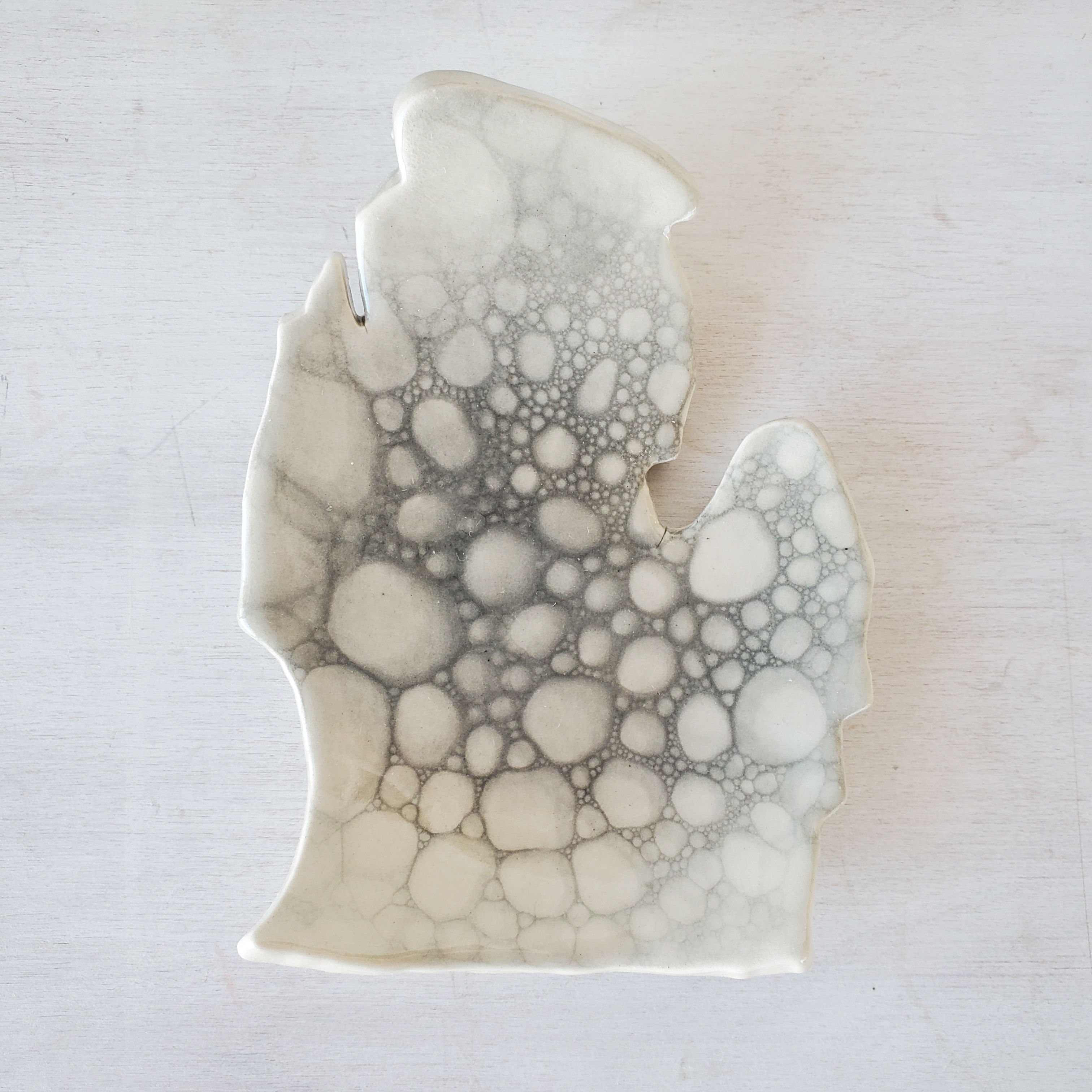 Michigan Lower Peninsula Tray - PETOSKEY STONE