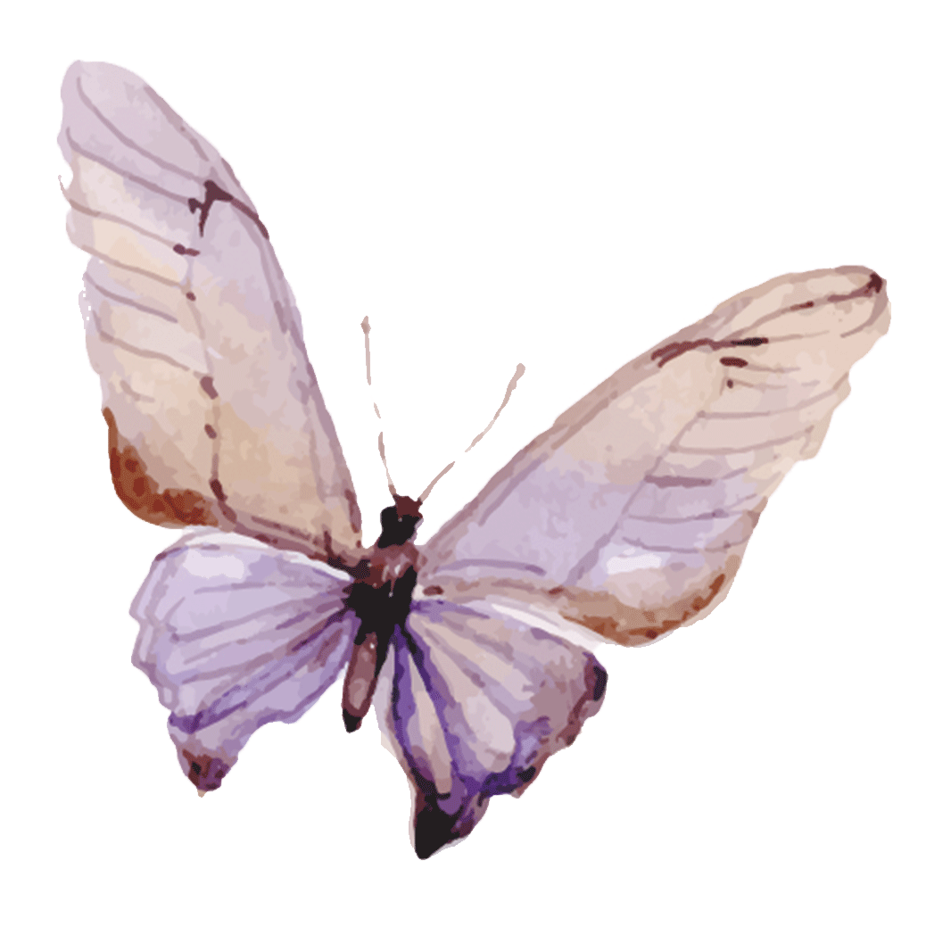 butterfly-purple.gif