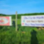 Signs lead you to the market