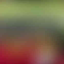 Fresh kale and cherry tomatoes