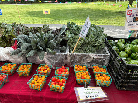 Freshly harvested vegetables sold at farm market