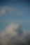 pexels-zhox-36864991.jpg