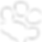 animaux Paw