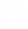 Animal Paw