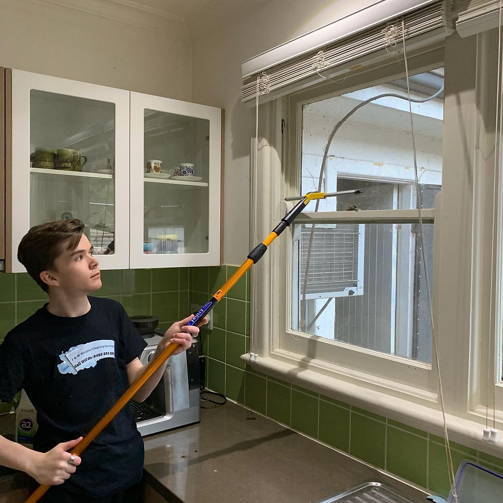 Window Cleaning