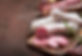 AdobeStock_273504074.jpeg