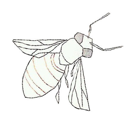 Abeille9