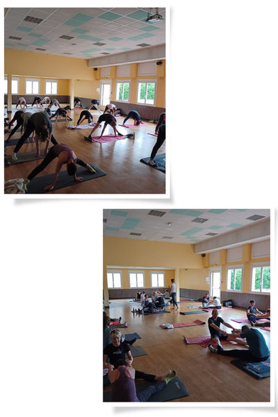 montage -StretchRelaxation.jpg
