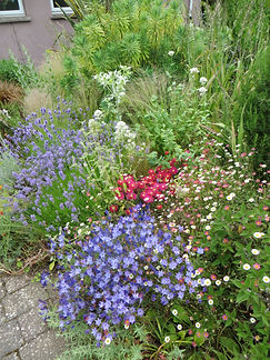 IMG_1504.jpeg