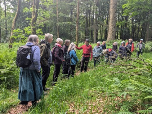 Plant ID walk with County Recorder  Michael Jeeves