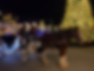 Horse drawn carriage in Festival Park.
