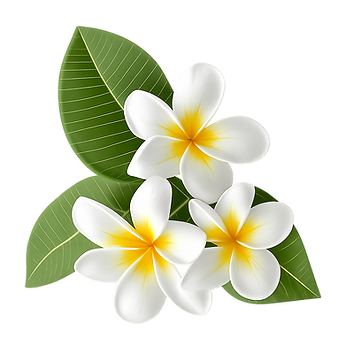 ChatGPT Image 16 déc_edited_edited.png