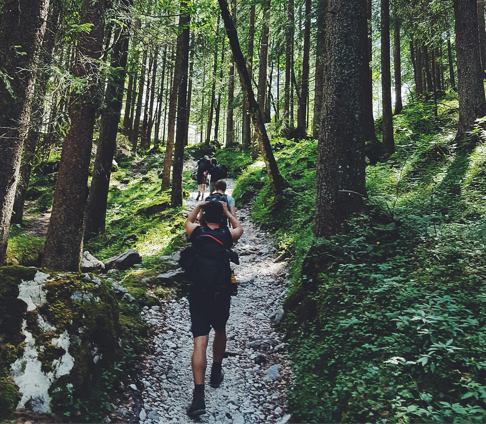 a man hiking up a wooded trail