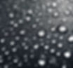 rain drops.jpg
