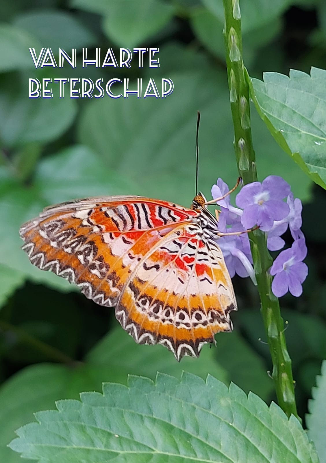 Fotokaart Beterschap 