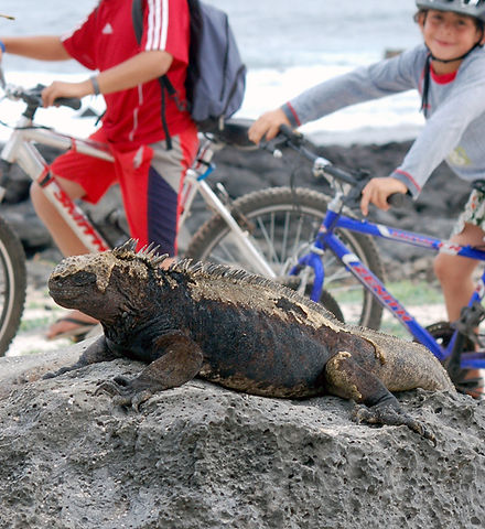 Spanish courses Galápagos Islands - Ecuador