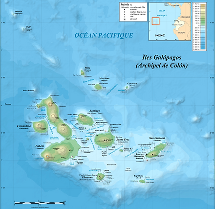 Galápagos Islands - Ecuador
